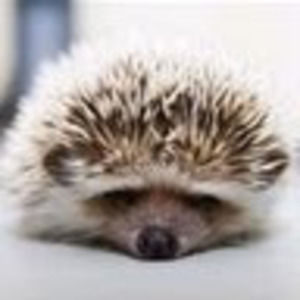 Meet your Posher, Melanie